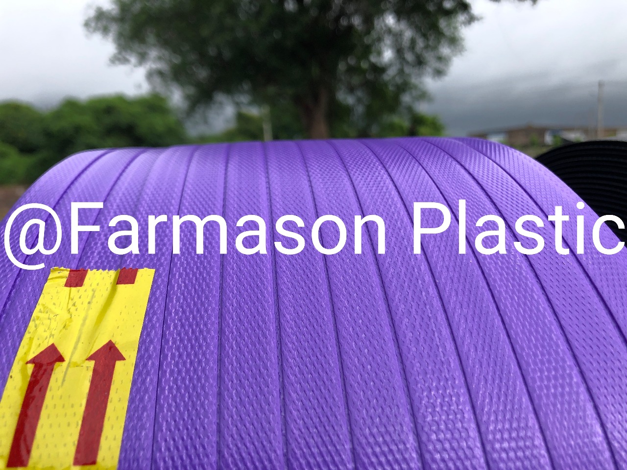 Colorppstrapthumb (3)